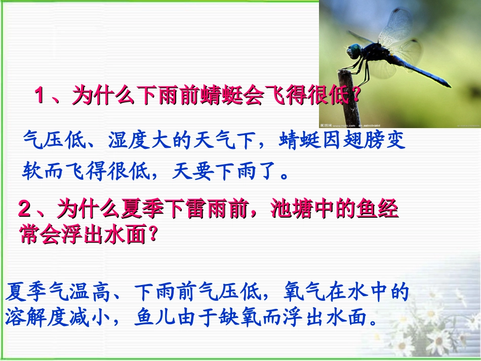 浙教版八年级上册科学22气温（共41张PPT）_第3页
