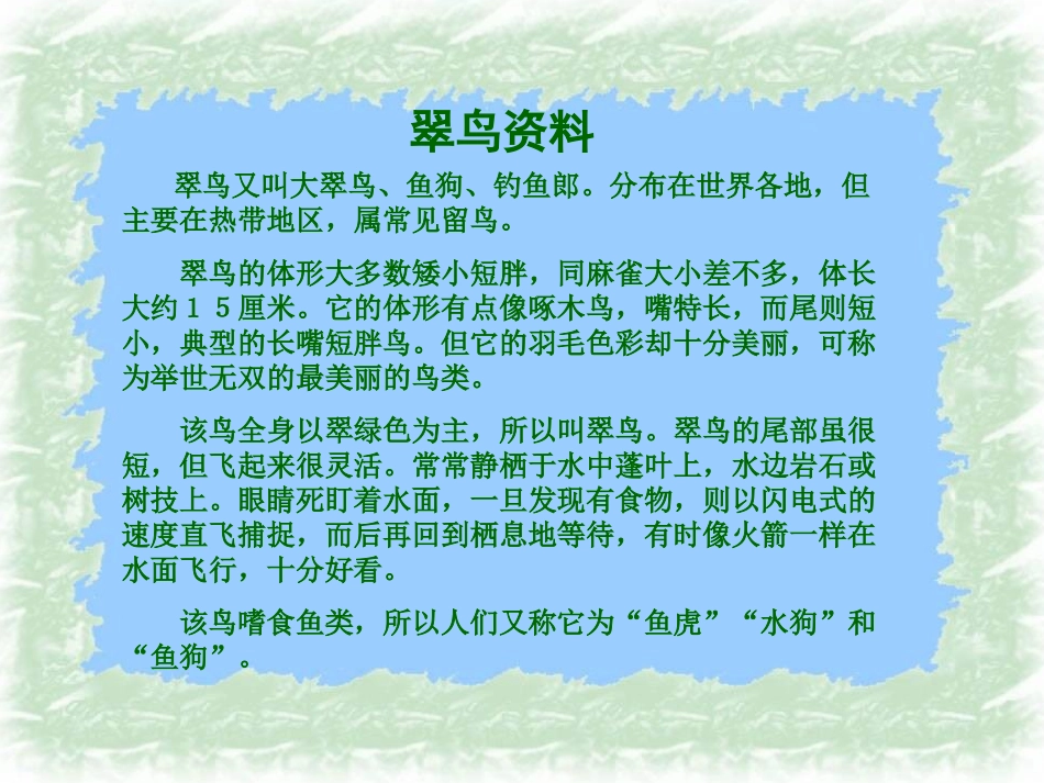 《翠鸟》课件【12页】_第2页