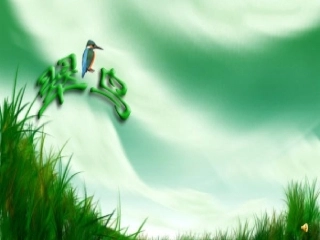 《翠鸟》课件【12页】