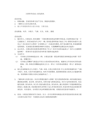 大班科学活动好玩的风