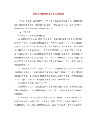 2020年乡镇党政办主任个人总结范文