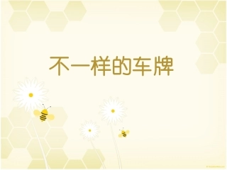 不一样的车牌