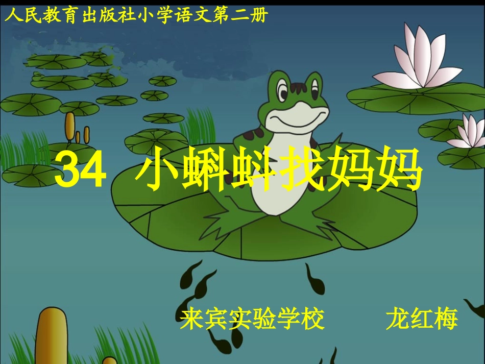 小蝌蚪找妈妈课件 (3)_第1页