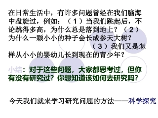 第5节科学探究ZL