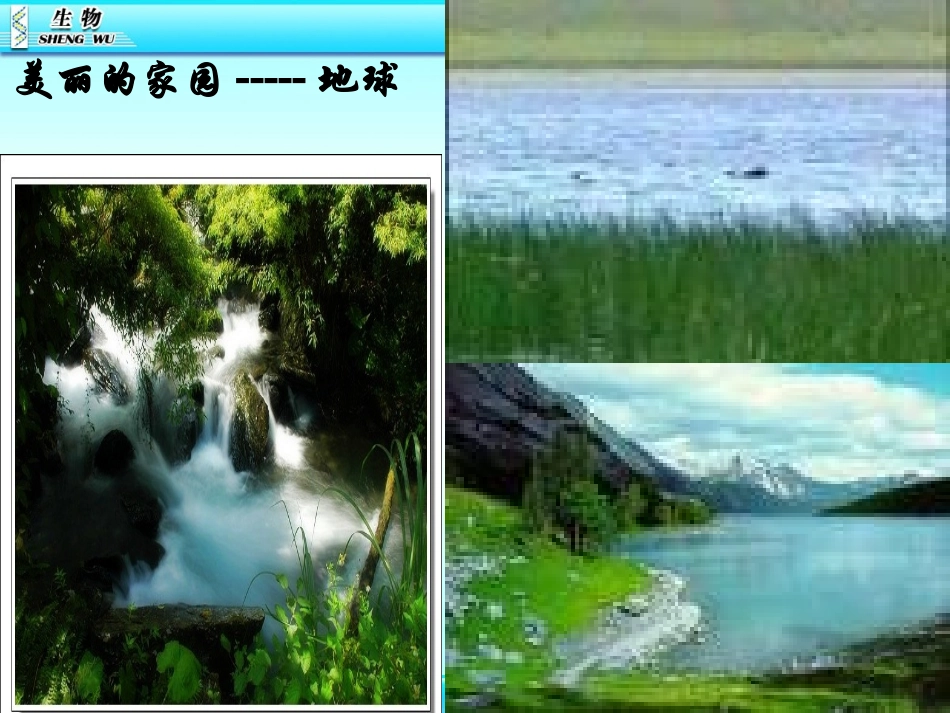 第二节探究环境污染对生物的影响_第2页