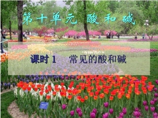 第十单元课题1常见的酸和碱