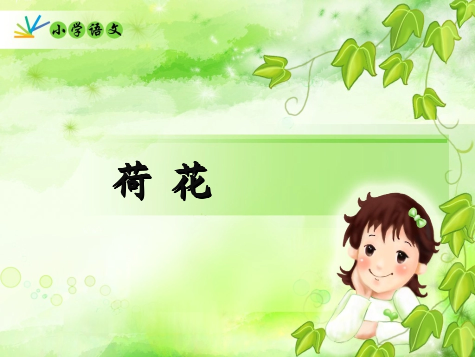 荷花课件 (3)_第1页