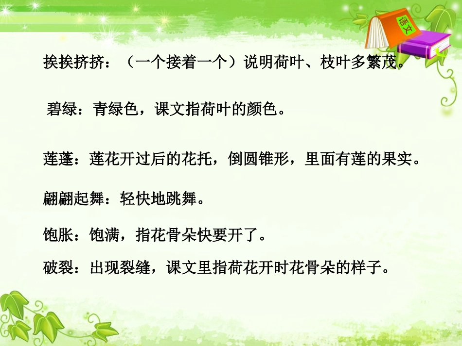 荷花课件 (3)_第2页