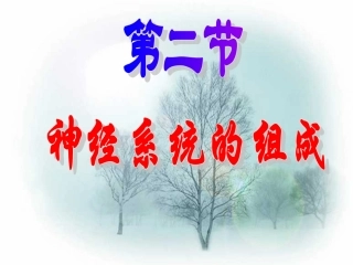神经系统的组成