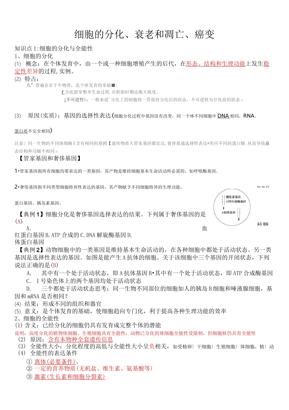 细胞的分化、衰老和凋亡、癌变一轮复习教学案_第1页