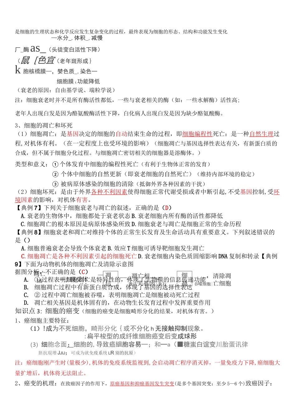 细胞的分化、衰老和凋亡、癌变一轮复习教学案_第3页