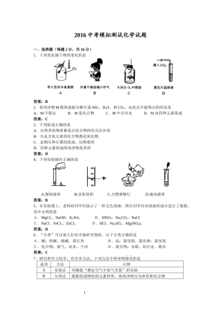 2016中考模拟化学试题