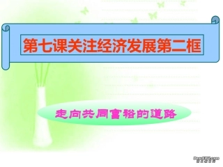 关注经济发展-走向共同富裕的道路第三单元-第七课-新课标-人教版