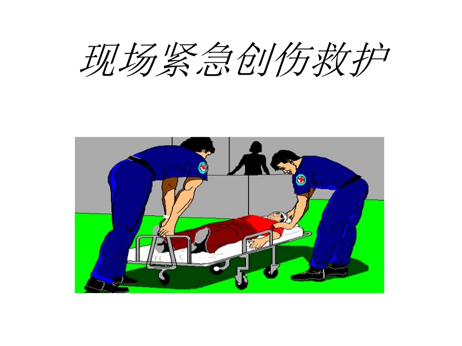 培训中心临场紧急创伤救护1_第1页