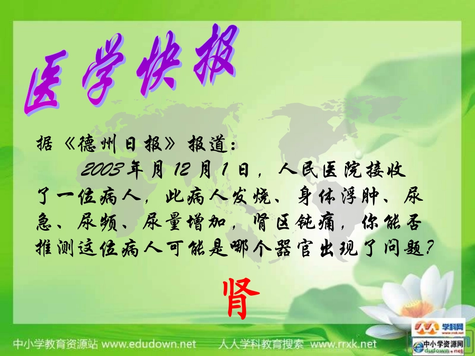 第四单元第五章尿液的形成和排出PPT_第2页