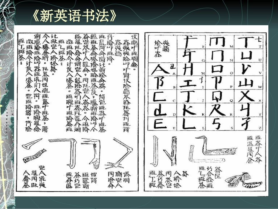 新的实验课件_第3页
