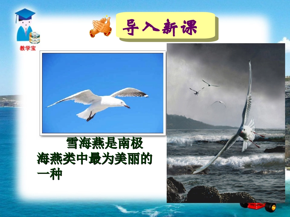 高尔基海燕课件_第2页