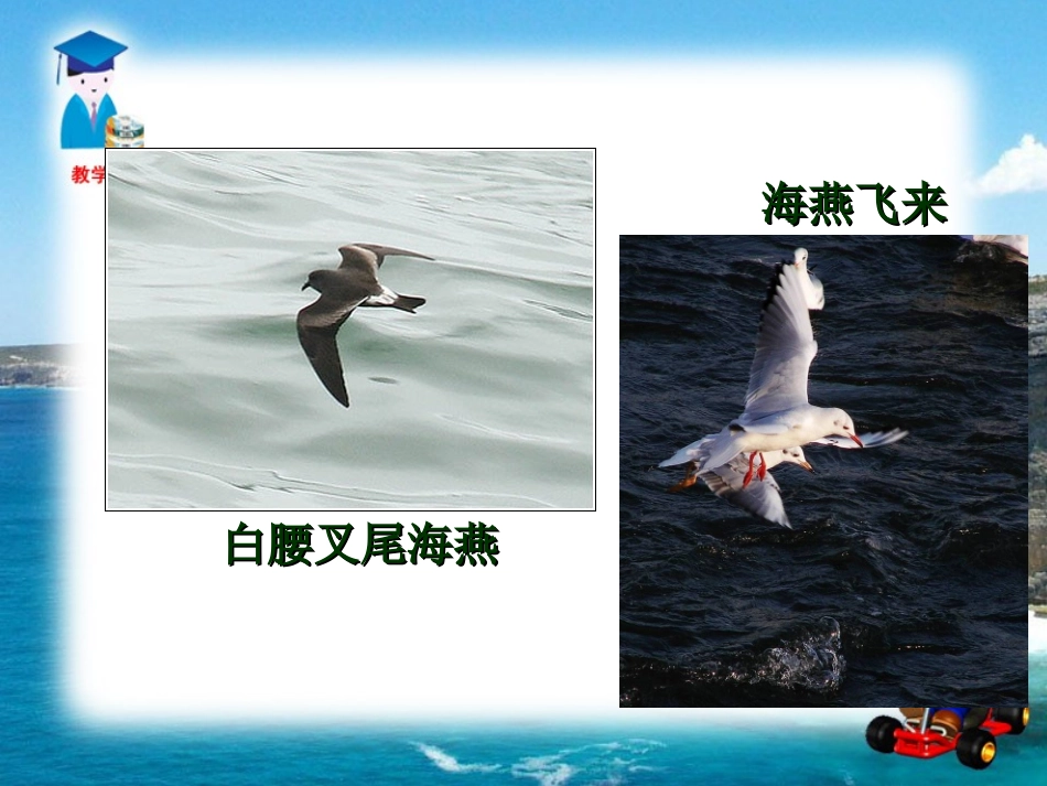 高尔基海燕课件_第3页