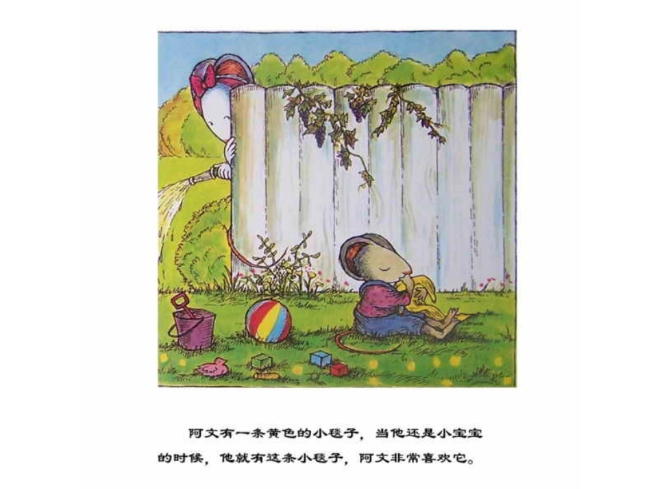 阿文的小毯子_第2页