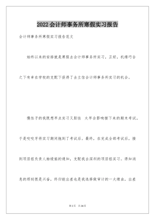 2024会计师事务所寒假实习报告