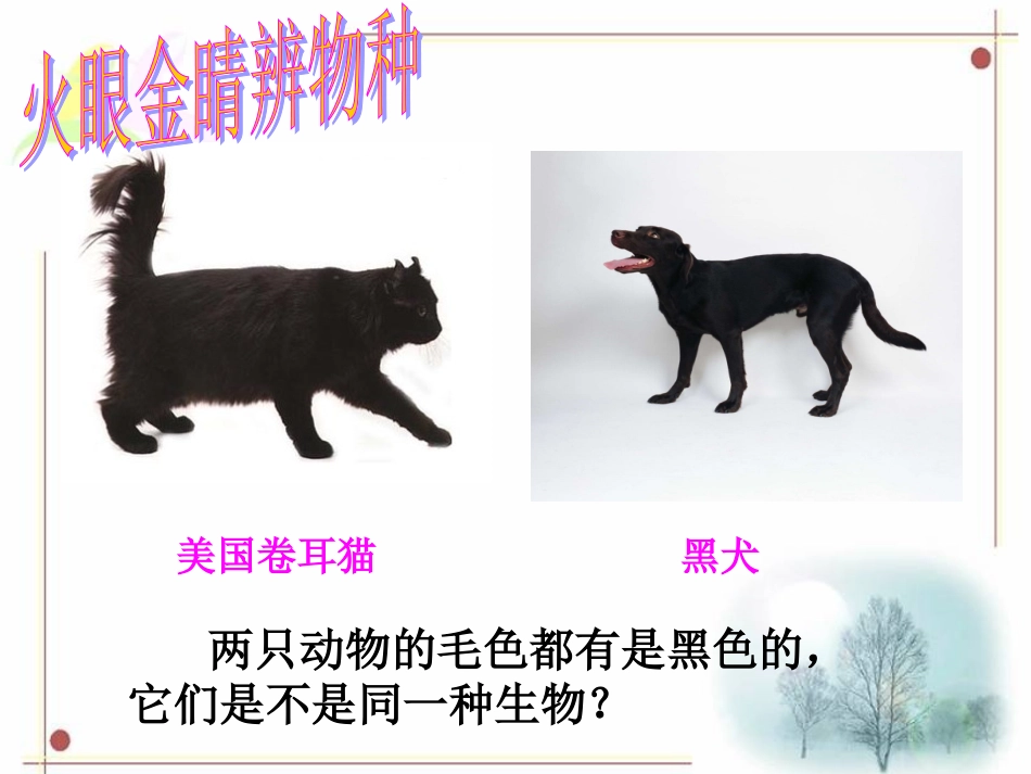 生物物种的多样性_第3页