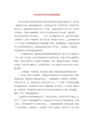 审计局纠风年终工作总结及思路