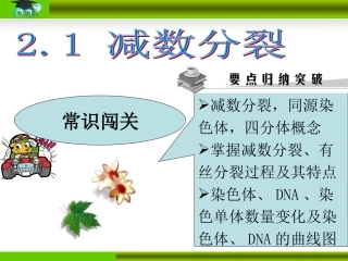 减数分裂和受精作用