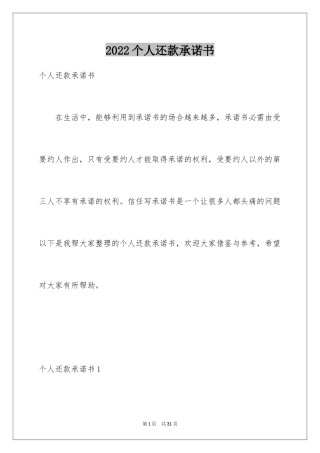 2024个人还款承诺书_19