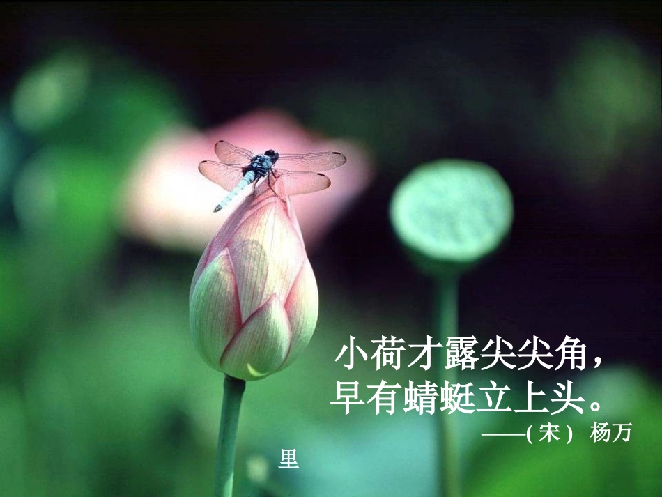 爱莲说 (2)_第3页