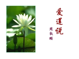 爱莲说 (2)
