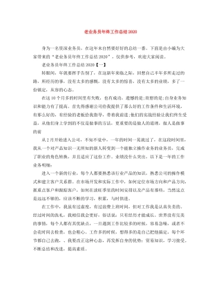 老业务员年终工作总结