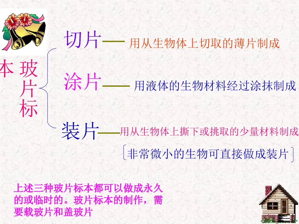 第二单元第一章第二节植物细胞_第3页