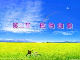 第二单元第一章第二节植物细胞