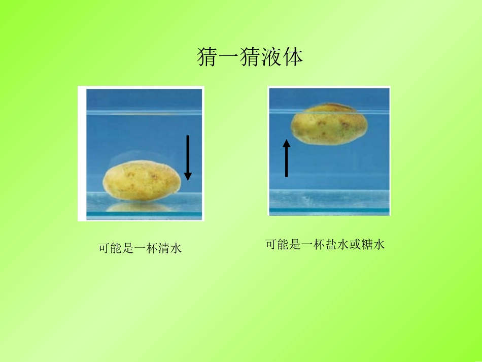 探索马铃薯沉浮的原因__第2页