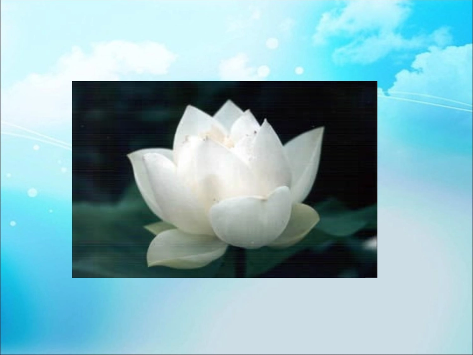 《我爱雪莲花》课件3_第3页