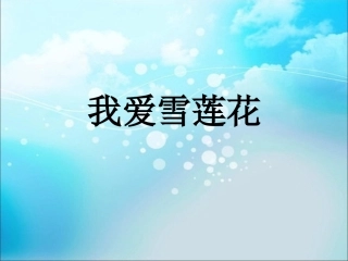 《我爱雪莲花》课件3