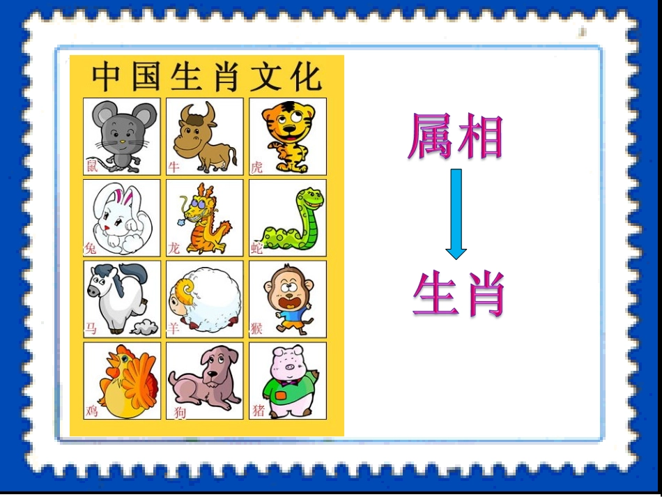 《有趣的属相》_第3页