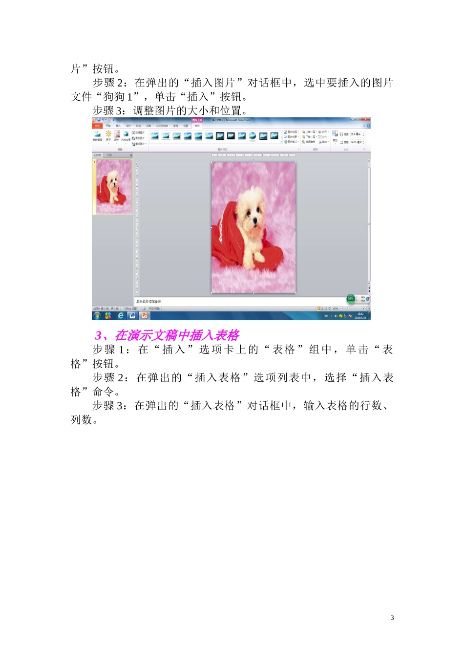 第17课宠物年历_第3页