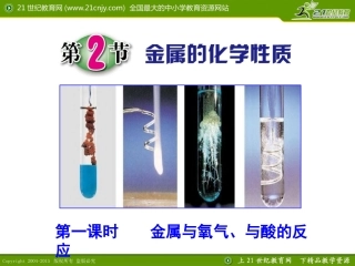 第2节金属的化学性质（第一课时）