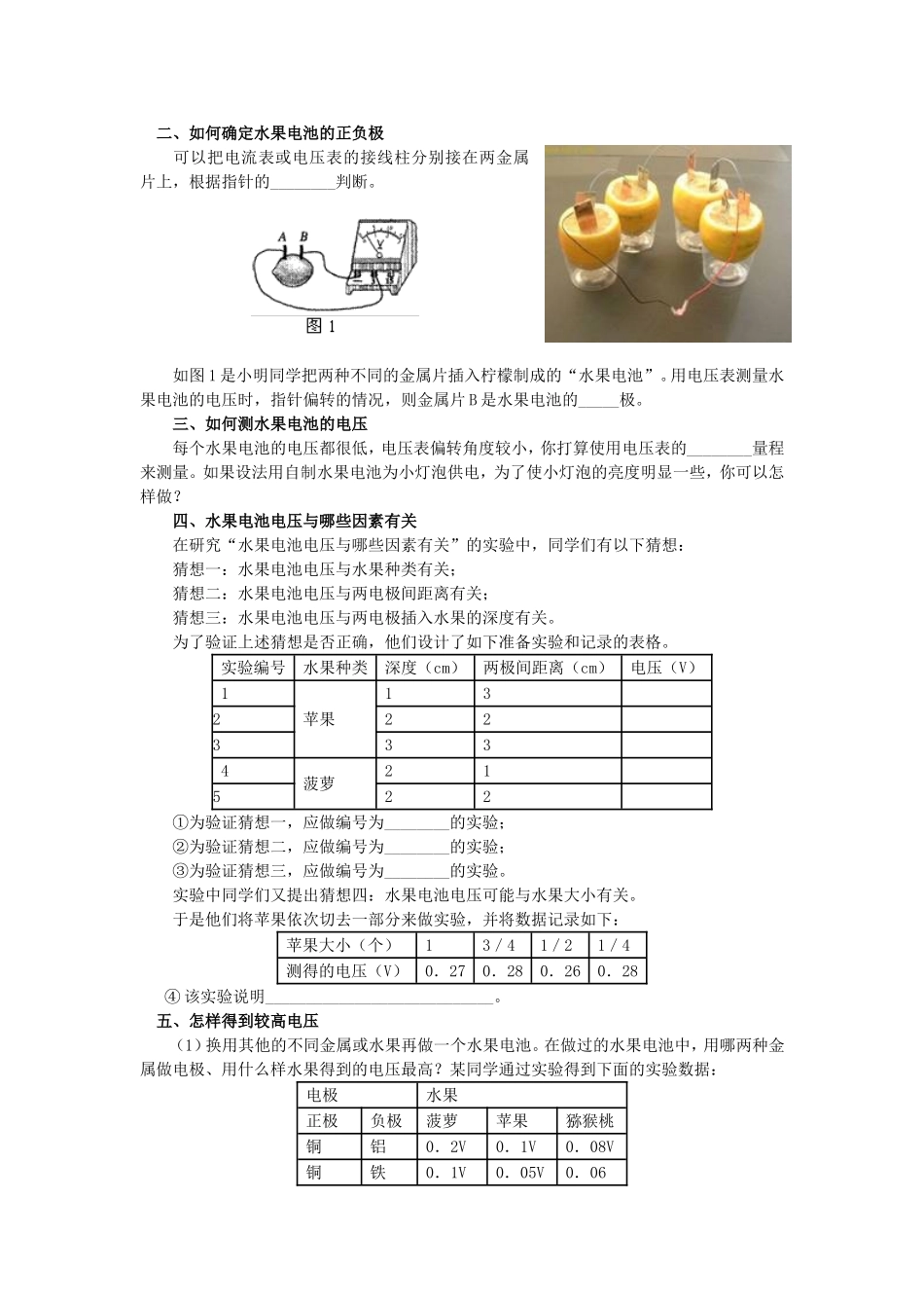 物理水果电池制作_第2页