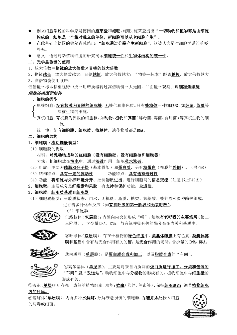 必修一复习提纲_第3页