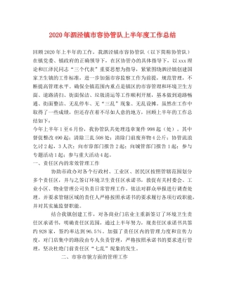 2020年泗泾镇市容协管队上半年度工作总结 