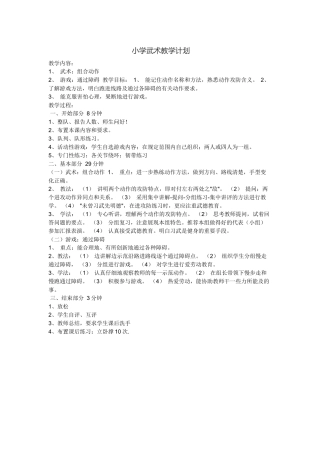 小学武术教学计划