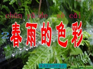 、春雨的色彩