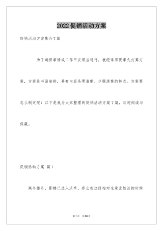 2024促销活动方案_233