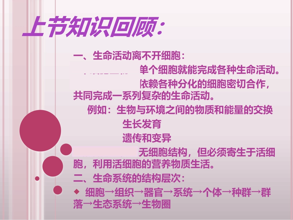 第二节细胞的多样性和统一性_第1页