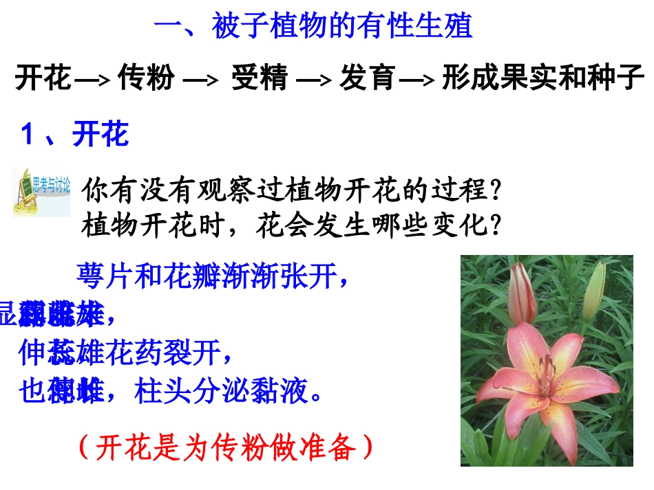 第5节植物生殖方式的多样性（第一课时）_第3页