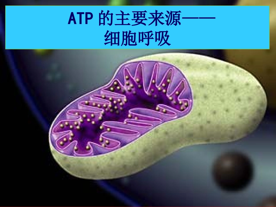 一轮复习光合作用与呼吸作用_第2页