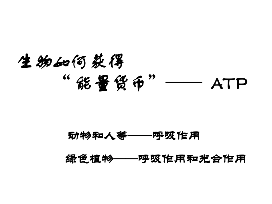 一轮复习光合作用与呼吸作用_第3页