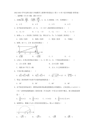 2022-2023学年北师大版八年级数学上册期中阶段复习(第1—4章)综合训 